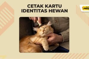 Bikin Kartu Identitas Hewan Lebih Menarik Dengan Desain Unik